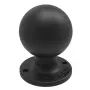 Ronde AMPS-plaat met kogel RAM Mounts RAM-D-254U