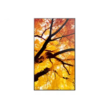 Sharp MultiSync PN-M982 interactief flat display 2,48 m (97,5 inch) LED 550 cd/m² 4K Ultra HD zwart 24/7