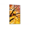 Sharp MultiSync PN-M982 interactief flat display 2,48 m (97,5 inch) LED 550 cd/m² 4K Ultra HD zwart 24/7