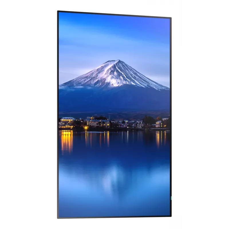 Sharp MultiSync P556 kiosk-design 139,7 cm (55 inch) LCD 700 cd/m² 4K Ultra HD zwart ingebouwde processor