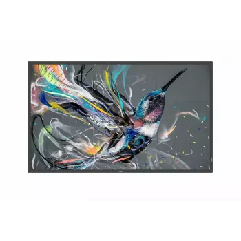 Digital signage flatscreen Philips 50BDL3650QE/00 49,5 inch 4K Ultra HD 3840 x 2160