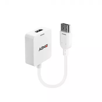 Lindy HDMI 1.4 naar DisplayPort 1.1 converter