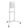 Vivolink VLFS3770 tv-wandhouder/voet 177,8 cm (70 inch) wit