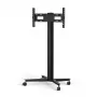 Monitorstandaard SMS Smart Media Solutions K12-025-EU-1 190,5 cm zwart