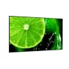 NEC MultiSync E758 digital-signage flatscreen 189,2 cm (74,5 inch) LED 400 cd/m² 4K Ultra HD zwart 18/7