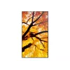 Sharp MultiSync PN-M752 189,2 cm (74,5 inch) LED 550 cd/m² 4K Ultra HD zwart 24/7