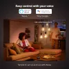 Slimme gloeilamp Philips ST64 Edison E27 Bluetooth/Zigbee, 7 W, transparant, 60×135 mm