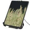 StarTech.com veilige tabletstandaard met K-slot kabelvergrendeling – vergrendelbare tablethouder voor 7,9-inch tot 13-inch tablets – universele, verstelbare tabletmontage voor bureau/oppervlak – vergrendelbare diefstalbeveiligingshouder