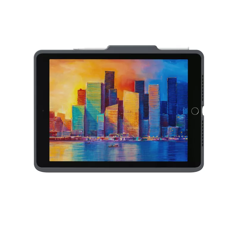 ZAGG Toetsenbord Pro Keys with Trackpad-Apple-iPad 10.2-zwart/grijs-Duits