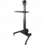 StarTech.com mobiele workstation-wagen met monitorbeugel, CPU/PC-houder, toetsenbordplateau – ergonomische in hoogte verstelbare desktop-computerwagen – rollend mobiel staand werkstation op wielen