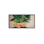 Philips Signage Solutions D-Line Digital Signage flatscreen 127 cm (50 inch) VA 500 cd/m² 4K Ultra HD Zwart