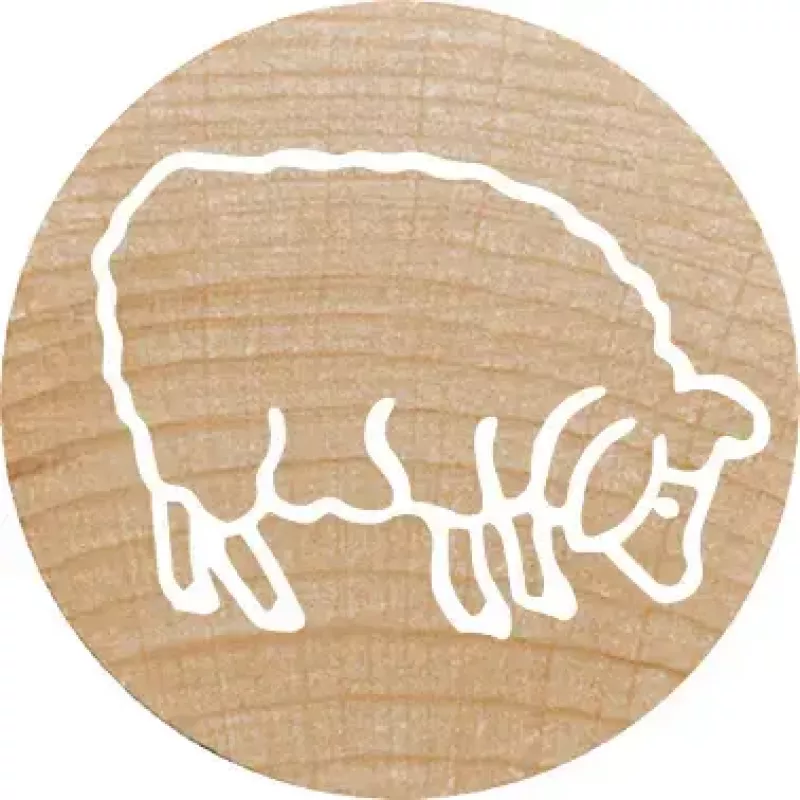 Rondstempel Colop 165225 rubber hout 3 cm diameter
