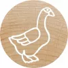 Rondstempel Colop 165225 rubber hout 3 cm diameter