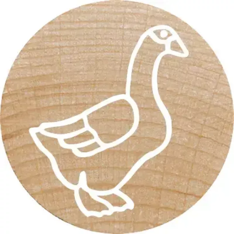 Rondstempel Colop 165225 rubber hout 3 cm diameter