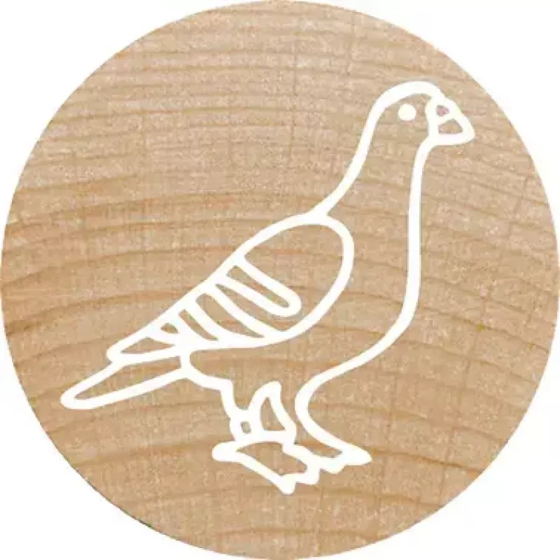 Colop Stempel Colop 165224 Rond Rubber Hout 3 cm