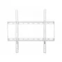 Techly ICA-PLB-162MW tv-muurbeugel 139,7 cm (55 inch) wit
