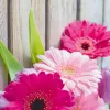 Sigel Motif Card Colorful DS001 wenskaarten met enveloppen, glanzend, 10 kaarten