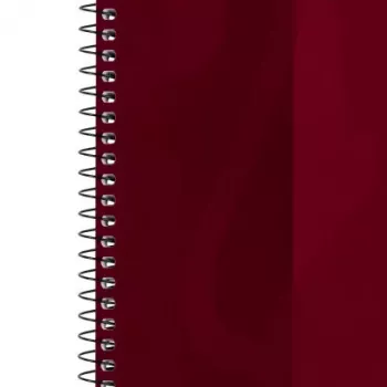 Schrift Oxford 100050355 A4 80 blad bordeaux
