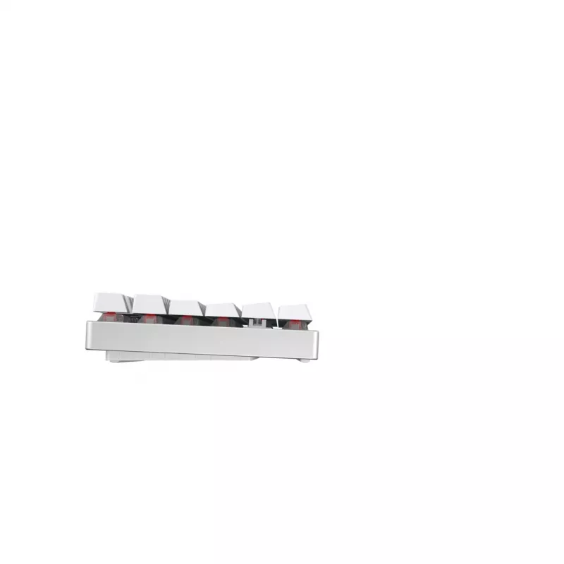 CHERRY MX 8.2 TKL Wireless RGB Toetsenbord Gaming RF Draadloos + Bluetooth QWERTZ Duits Wit