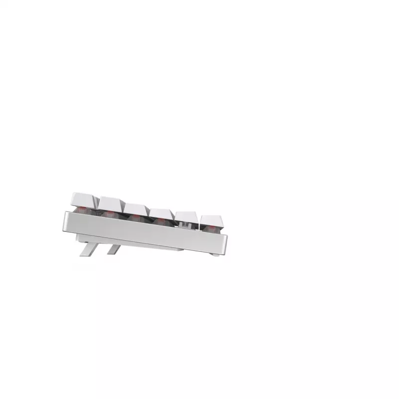 CHERRY MX 8.2 TKL Wireless RGB Toetsenbord Gaming RF Draadloos + Bluetooth QWERTZ Duits Wit