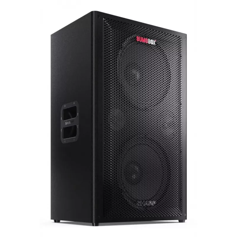 Sharp CP-LS200 draagbare/feestluidspreker zwart 200 W