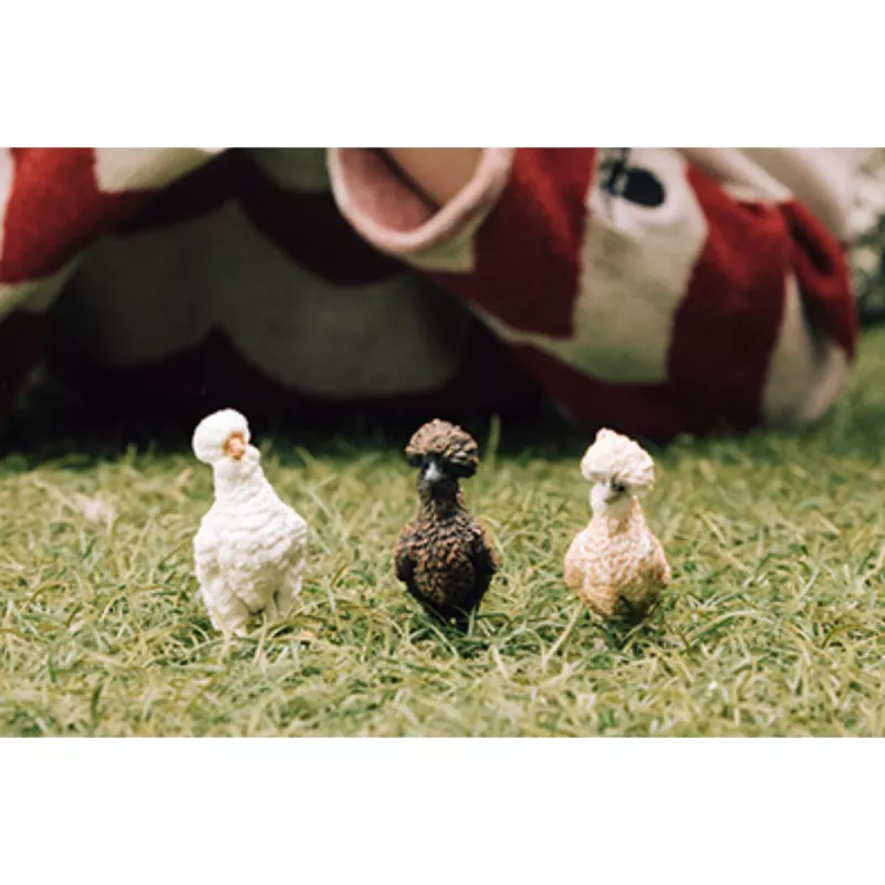 Speelfiguren Schleich FARM WORLD Hühnerfreunde veelkleurig 42574