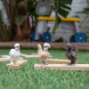 Speelfiguren Schleich FARM WORLD Hühnerfreunde veelkleurig 42574
