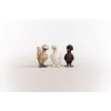 Speelfiguren Schleich FARM WORLD Hühnerfreunde veelkleurig 42574