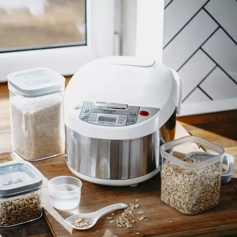 Multicooker Adler AD 6420 — 700 W, 3,25 L inhoud, 6 programmeerbare programma's, LED-display