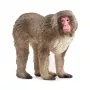 Figuur Schleich WILD LIFE Japanse makaak beige bruin roze 14871