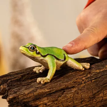 schleich WILD LIFE Europese boomkikker, 3 jaar, bos, wilde dieren/avontuurspeelgoed, meerkleurig