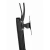 Monitorhouder Gembird MS-D2-01 27 inch zwart vrijstaand