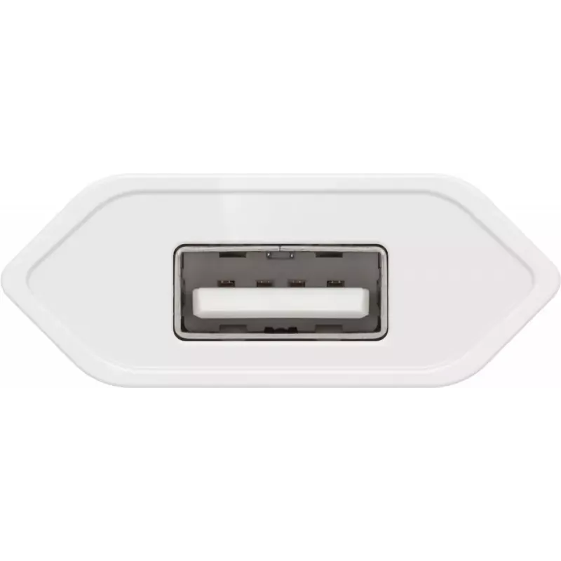 Oplaadset Goobay 5W Apple Lightning indoor AC mobiele telefoon