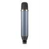 Studiomicrofoon Blue Microphones Ember