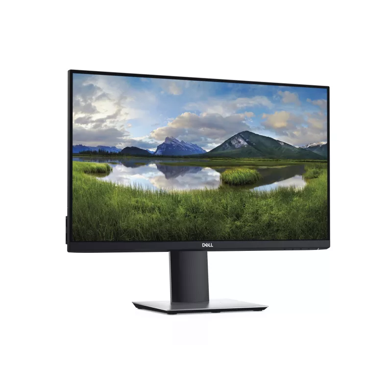 DELL P2419H computermonitor 61 cm (24 inch) 1920 x 1080 pixels Full HD LCD zwart