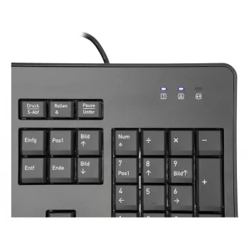 TERRA 1500 toetsenbord muis inbegrepen kantoor USB QWERTZ Duits zwart