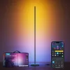 Vloerlamp Govee Matter RGBICW H8076C13 — slimme LED-verlichting met RGBIC en instelbaar wit
