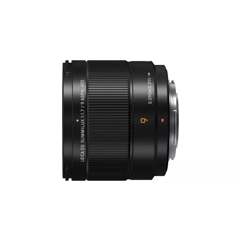 Ultra-groothoekobjectief Panasonic H-X09 12 elementen 0,25x zwart