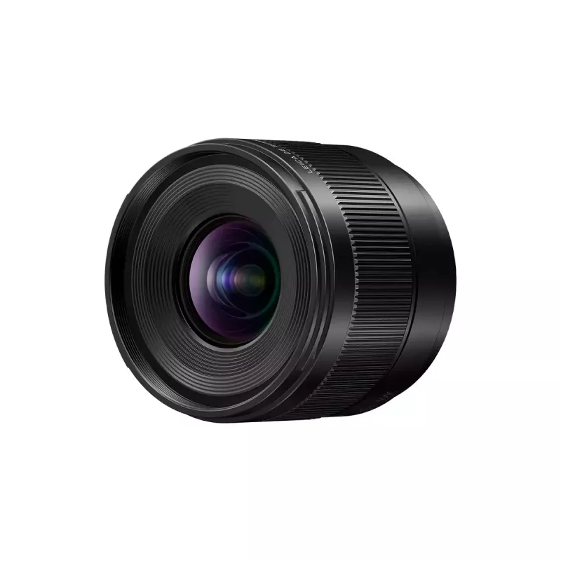 Ultra-groothoekobjectief Panasonic H-X09 12 elementen 0,25x zwart