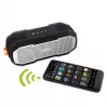 Draagbare stereoluidspreker Fantec Novi T30 zilver