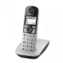 DECT-telefoon Panasonic KX-TGE510GS