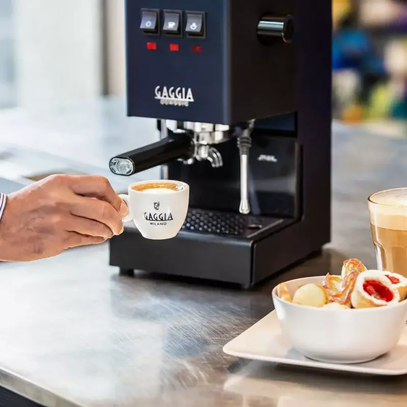 Espressomachine Gaggia Classic Evo E24 – 15 bar pomp, roestvrij staal