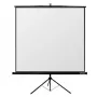 Tripod projectiescherm Reflecta CrystalLine 1:1