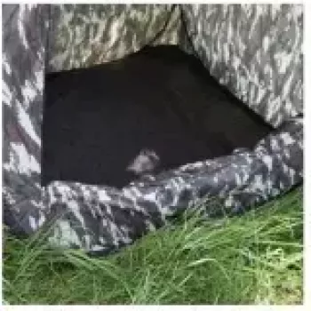 Walimex Pop-Up camouflagetent voor natuurfotografie