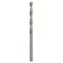 Spiraalboor Bosch metaalboor HSS-G DIN 338 4 mm 2 stuks