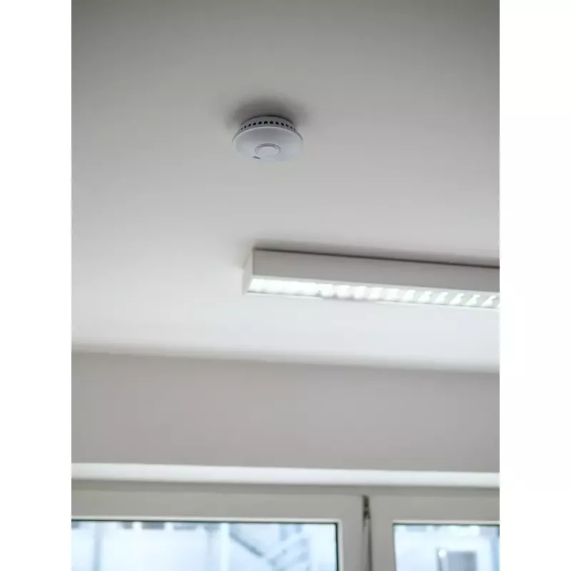 Brennenstuhl RM L 3101 draadloze koppelbare rookmelder, 10 jaar