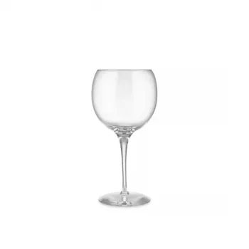 Wijnglas Alessi SG119/0S4 elegant design kristalhelder