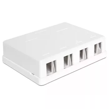 DeLOCK 86208 Keystone opbouwdoos, 4 poorten, wit