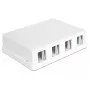 DeLOCK 86208 Keystone opbouwdoos, 4 poorten, wit
