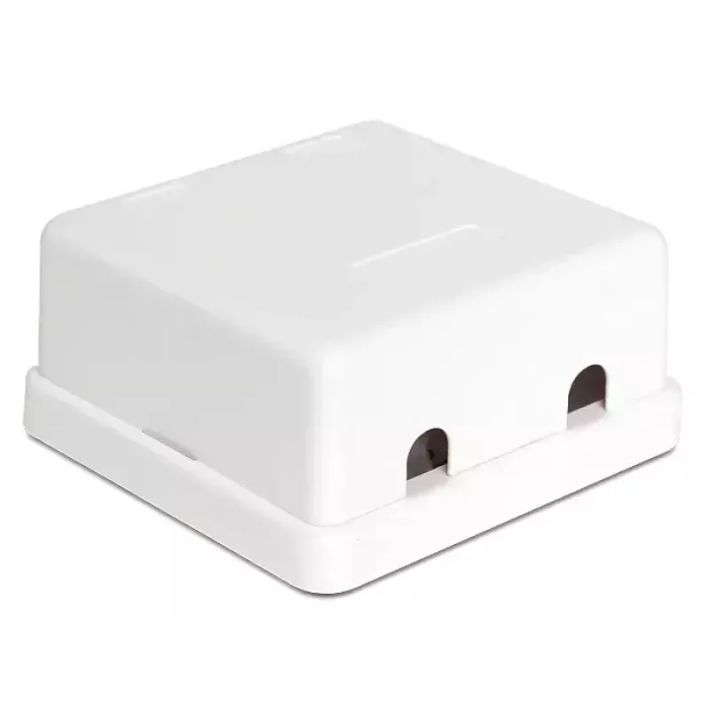 DeLOCK 86207 Keystone lege opbouwdoos, 2 poorten, wit